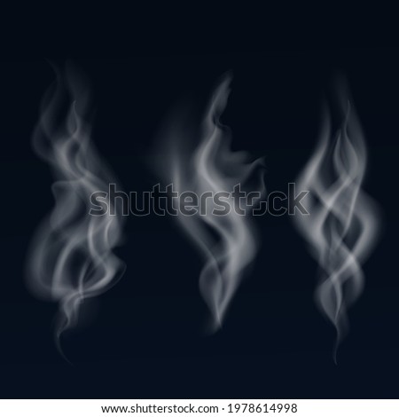 Isolated collection of white smoke on the dark background. Vector illustration.