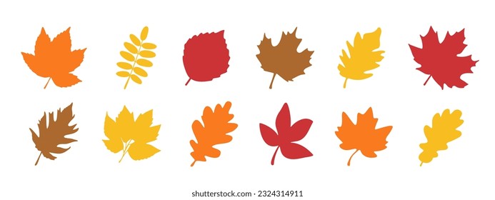 Isolated color autumn leaves over white