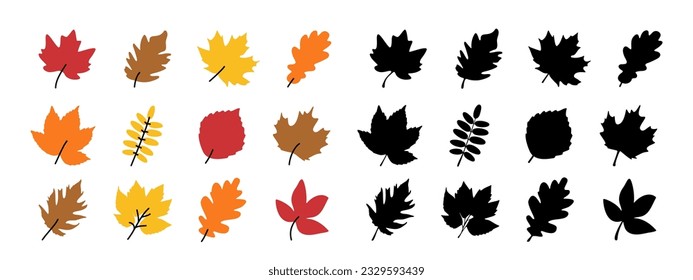 Isolated color autumn leaves over white big set