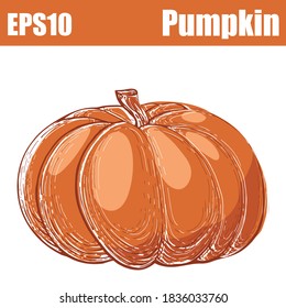  Isolated color pumpkin. Vector illustration