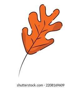 Isolated colored autumn leaf icon Vector