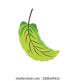 Icono de hoja de otoño aislado Vector