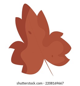 Isolated colored autumn leaf icon Vector