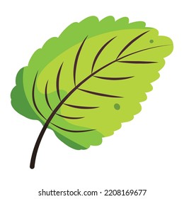 Isolated colored autumn leaf icon Vector