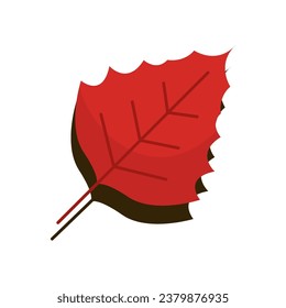 Isolated colored autumn leaf icon Flat style Vector