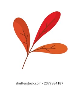 Isolated colored autumn leaf icon Vector