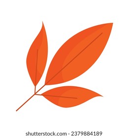 Isolated colored autumn leaf icon Vector