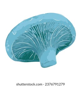 Isolated colored detailed mushroom Vector illustration