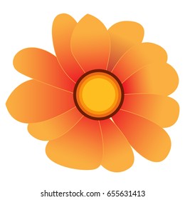 Isolated colored flower on a white background, Vector illustration