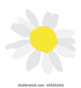 Isolated colored flower on a white background, Vector illustration