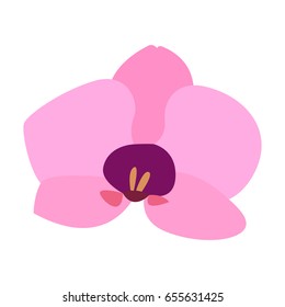 Isolated colored flower on a white background, Vector illustration