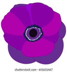 Isolated colored flower on a white background, Vector illustration