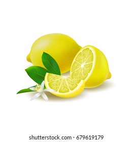 Isolated colored group of lemons, half, slice and whole juicy fruit with green leaves, white flower and shadow on white background. Realistic citrus.