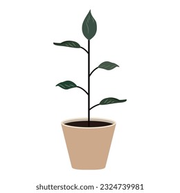 Isolated colored indoor plant icon Vector