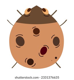 Isolated colored ladybug sketch character Vector