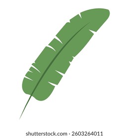 Isolated colored leaf sketch icon