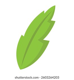 Isolated colored leaf sketch icon