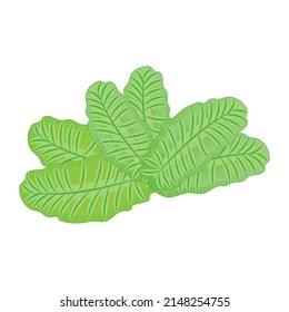 Isolated colored natural leaf icon Flat design Vector