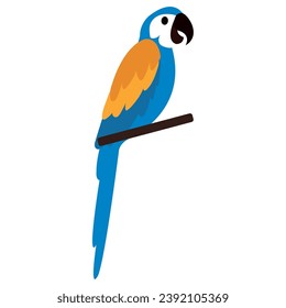 Isolated colored parrot bird Vector illustration
