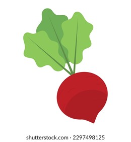 Isolated colored raddish vegetable icon Vector