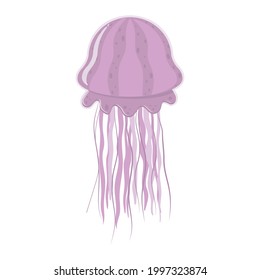 Isolated colored sea jellyfish in flat style on a white background, vector illustration