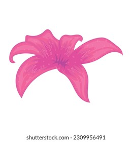 Isolated colored seasonal flower sketch icon Vector illustration