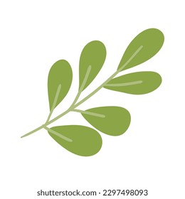 Isolated colored seasonal leaf icon Vector