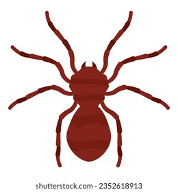 Isolated colored spider insect animal icon Vector