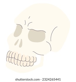 Isolated colored spooky skull sketch icon Vector illustration