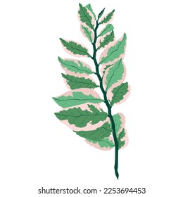 Isolated colored summer leaf sketch icon Vector