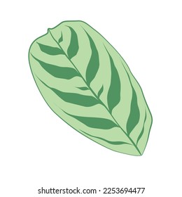 Isolated colored summer leaf sketch icon Vector