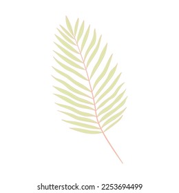 Isolated colored summer leaf sketch icon Vector