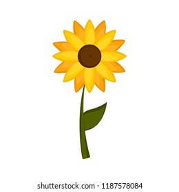 Isolated colored sunflower icon