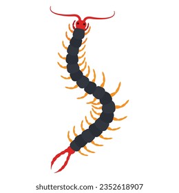 Icono de animal de gusano de gusano aislado Vector