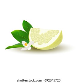 Isolated colored yellow slice of juicy pomelo with green leaves, white flower and shadow on white background. Realistic wedge citrus fruit.