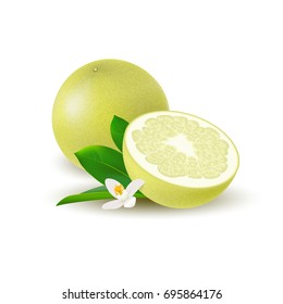 Isolated colored yellow whole and half of juicy pomelo with green leaves, white flower and shadow on white background. Realistic citrus fruit.