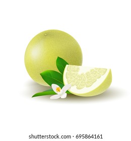 Isolated colored yellow whole and slice of juicy pomelo with green leaves, white flower and shadow on white background. Realistic wedge citrus fruit.