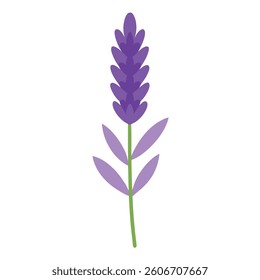 Isolated Colorful Flower Vector Illustrations