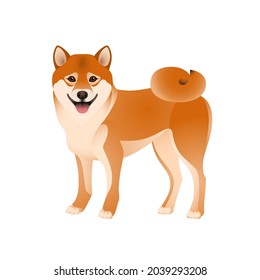 Einzeln bunter, fröhlicher Shiba auf weißem Hintergrund. Farbflacher Cartoon Rasse Hund.