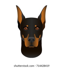 8,572 Doberman head Images, Stock Photos & Vectors | Shutterstock