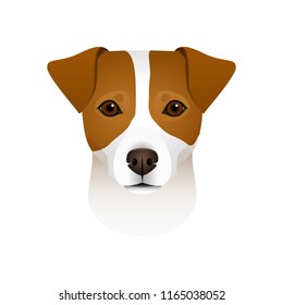 Isolated colorful head and face of jack russell terrier on white background. Flat cartoon breed dog portrait