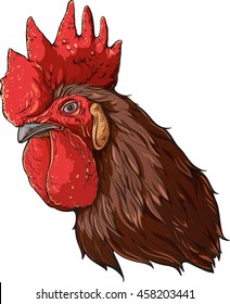 Isolated colorful image of cocks head with  brown feathers.