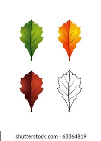 isolated colorful leaf