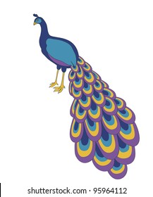 isolated colorful peacock. vector illustration