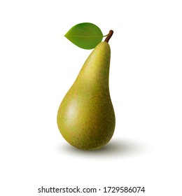 Isolated colorful whole pear conference with leaf on white background. Realistic colored fruit with shadow. Flat design.