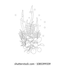 Isolated composition of tropical plants in black line and white background. Vector illustration.