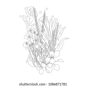 Isolated composition of tropical plants in black line and white background. Vector illustration.