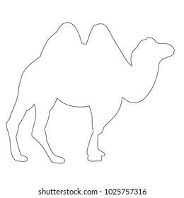 isolated contour of a camel on a white background