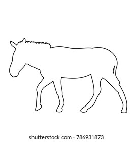  isolated contour of donkey 