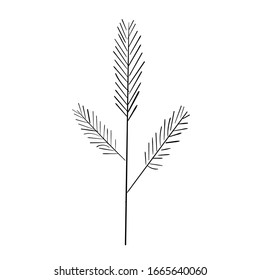 Isolated contour image of a leaf on a white background. Use for fabric, packaging, coloring, patterning.